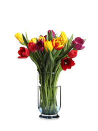 Photo of Beautiful spring tulips in vase isolated on white