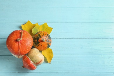 Different pumpkins on wooden background, flat lay composition with space for text. Autumn holidays