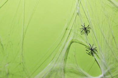 Photo of Cobweb and spiders on green background, top view