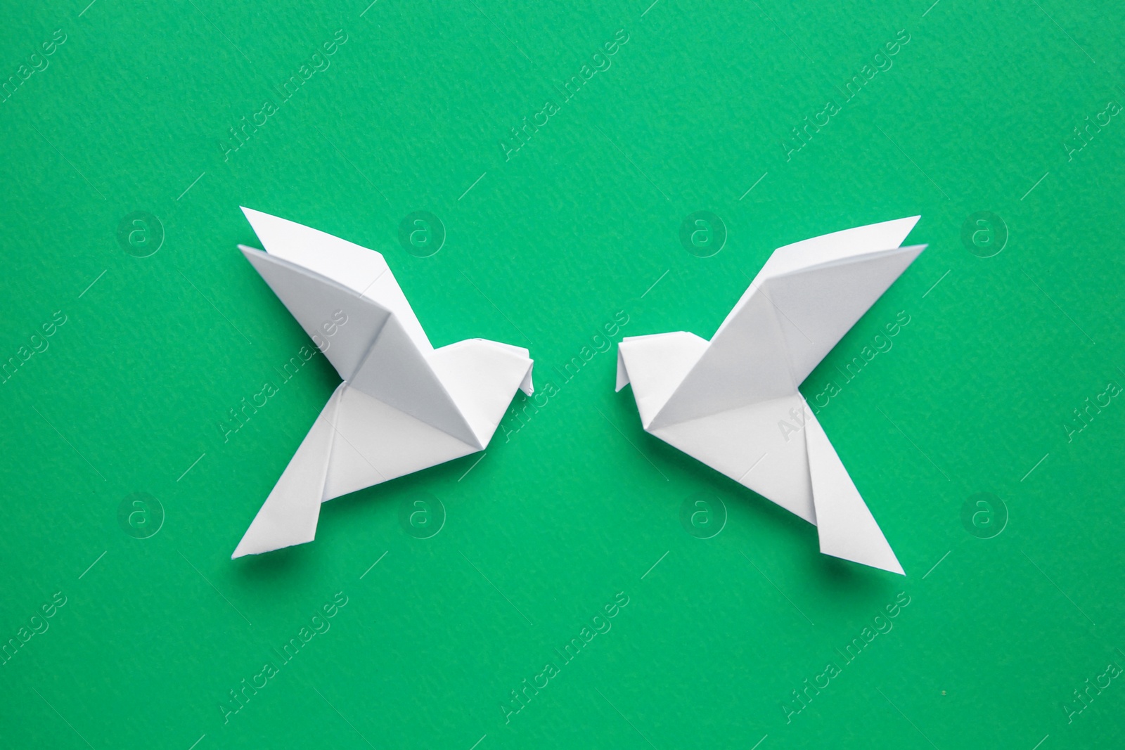 Photo of Beautiful white origami birds on green background, flat lay