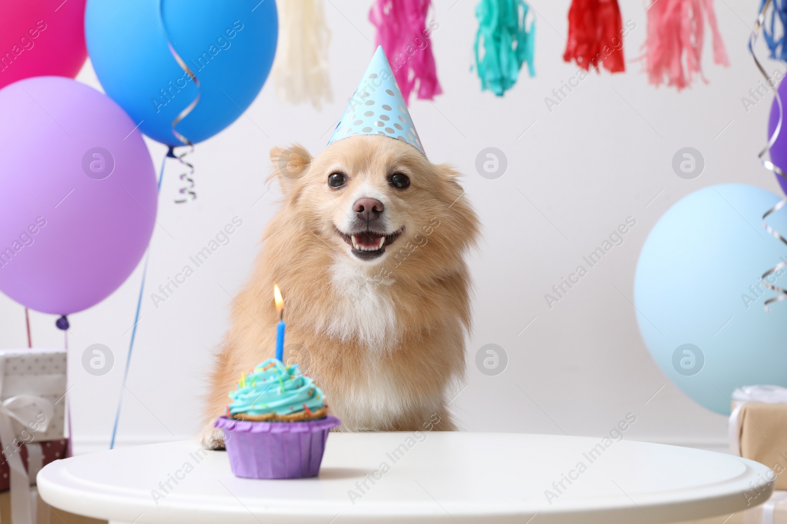 Photo of Cute dog wearing party hat at table with delicious birthday cupcake in decorated room