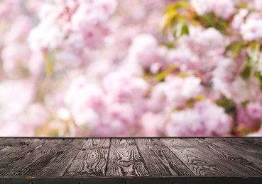 Empty wooden surface and beautiful blossoming sakura tree on background