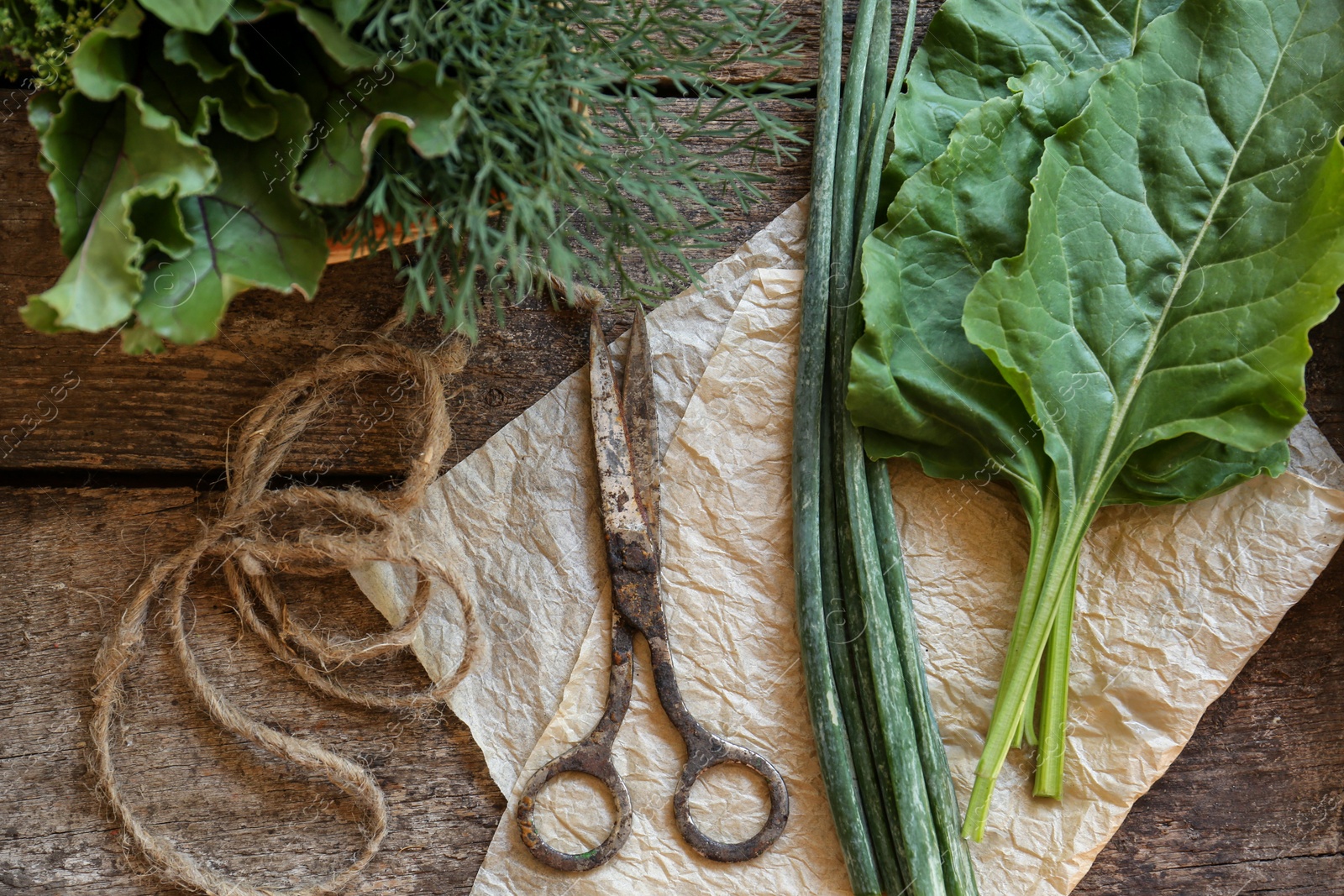 Photo of Flat lay composition with different herbs and rusty scissors on wooden table