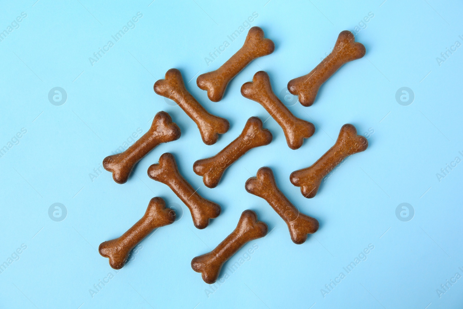 Photo of Bone shaped dog cookies on light blue background, flat lay