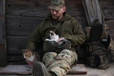 Ukrainian soldier resting with stray cats indoors