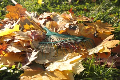 Photo of Rake and fall leaves on grass outdoors, closeup