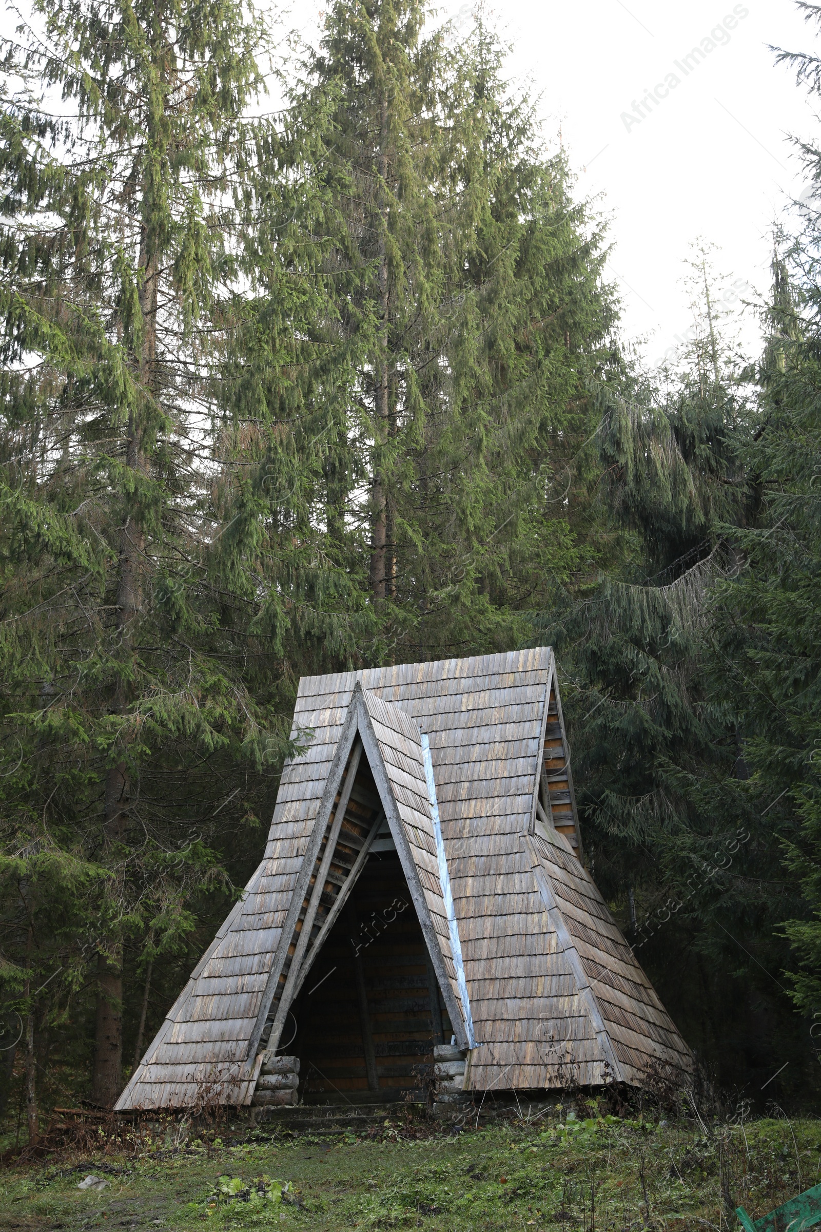 Photo of Empty wooden pavilion among green trees in forest