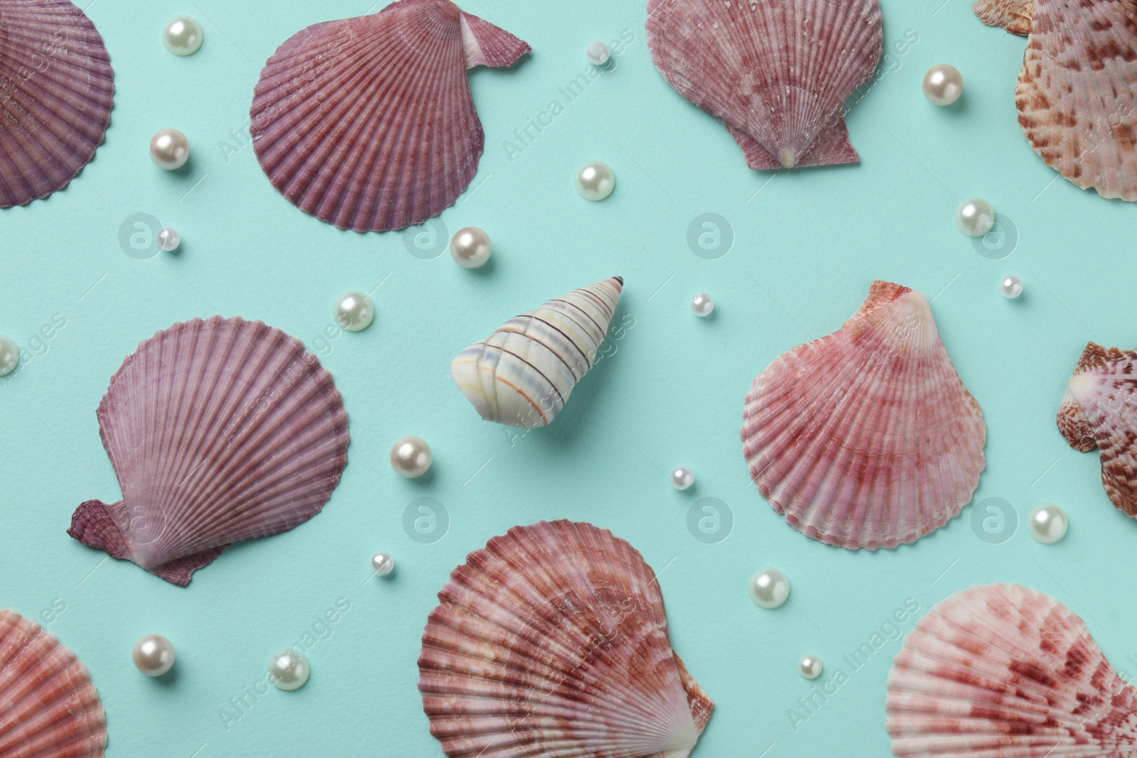 Photo of Beautiful sea shells and pearls on light blue background, flat lay