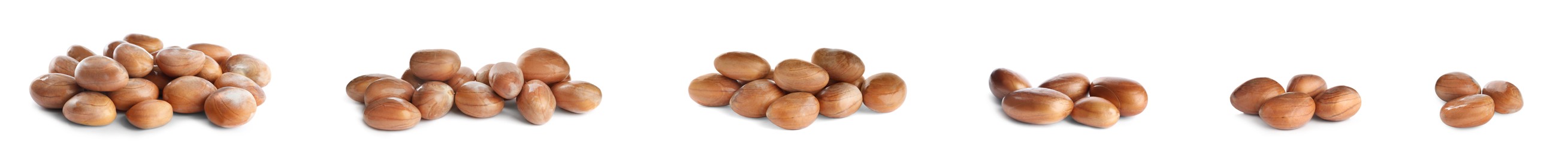 Image of Set with jackfruit seeds on white background. Banner design