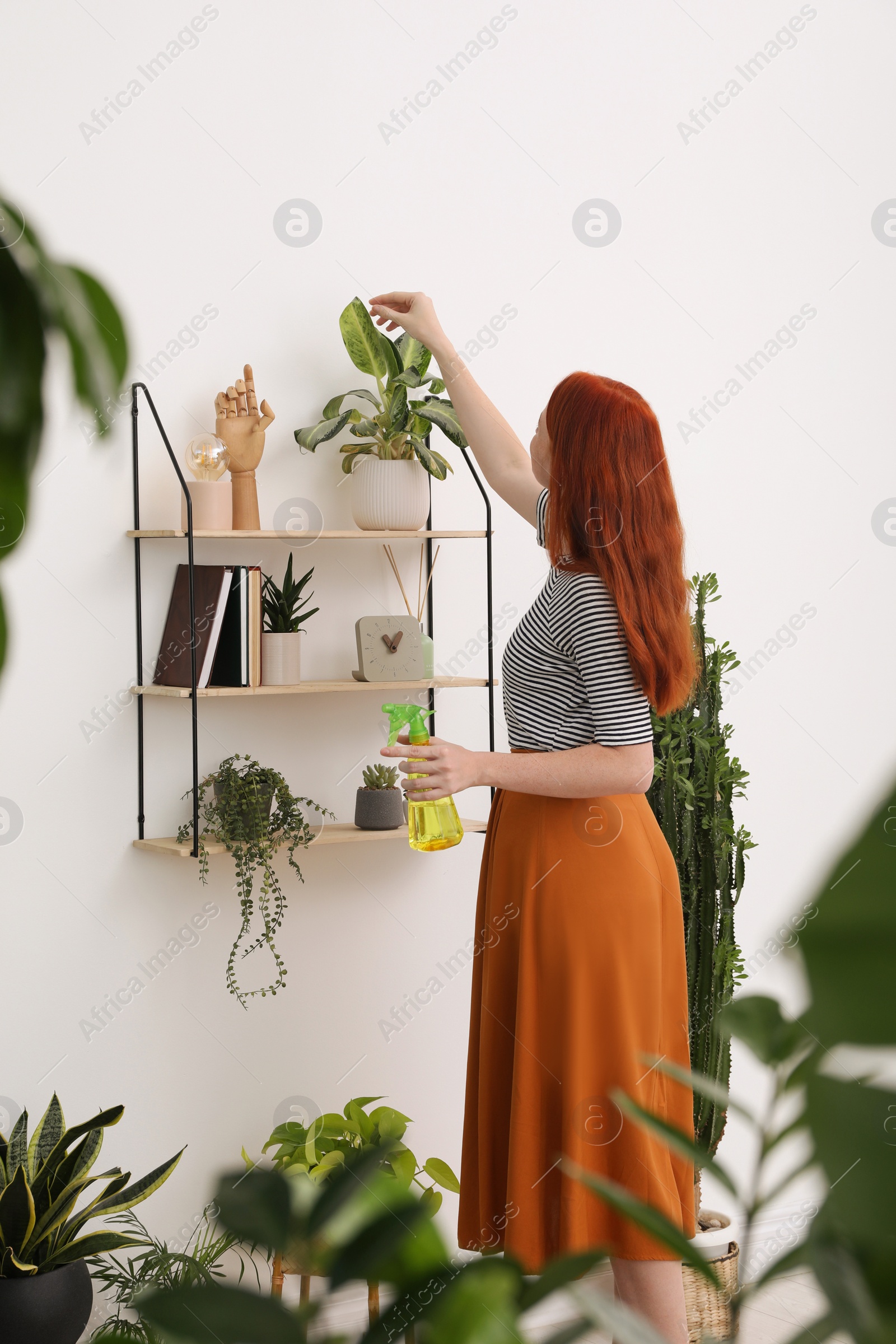 Photo of Beautiful woman taking care of houseplant in room