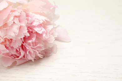 Photo of Beautiful blooming pink peony on white wooden table, closeup. Space for text