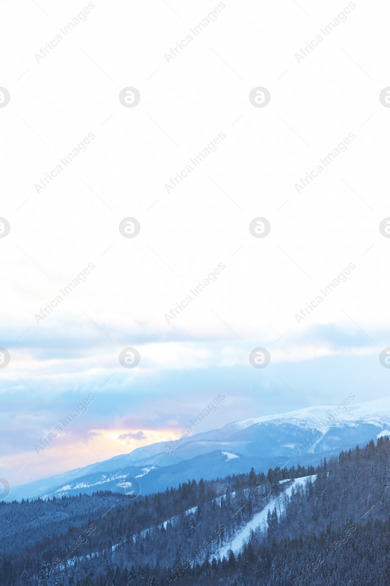 Photo of Beautiful mountain landscape with forest in winter