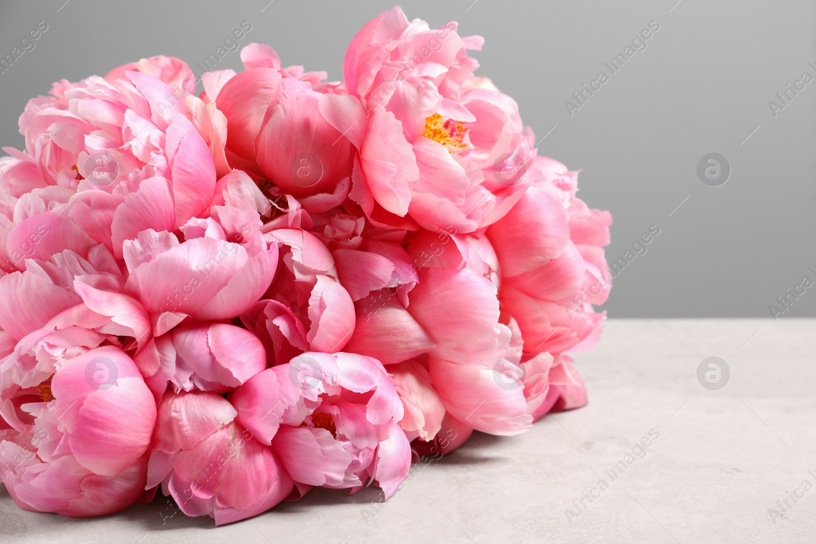 Photo of Beautiful pink peonies on white table against grey background, closeup