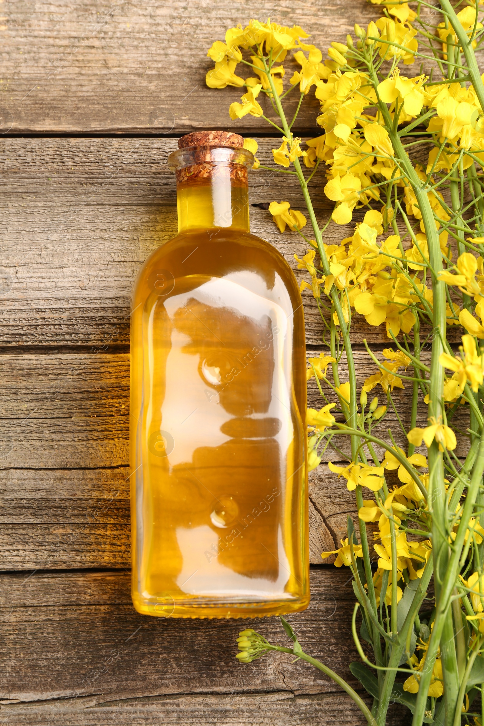 Photo of Rapeseed oil in glass bottle and beautiful yellow flowers on wooden table, flat lay