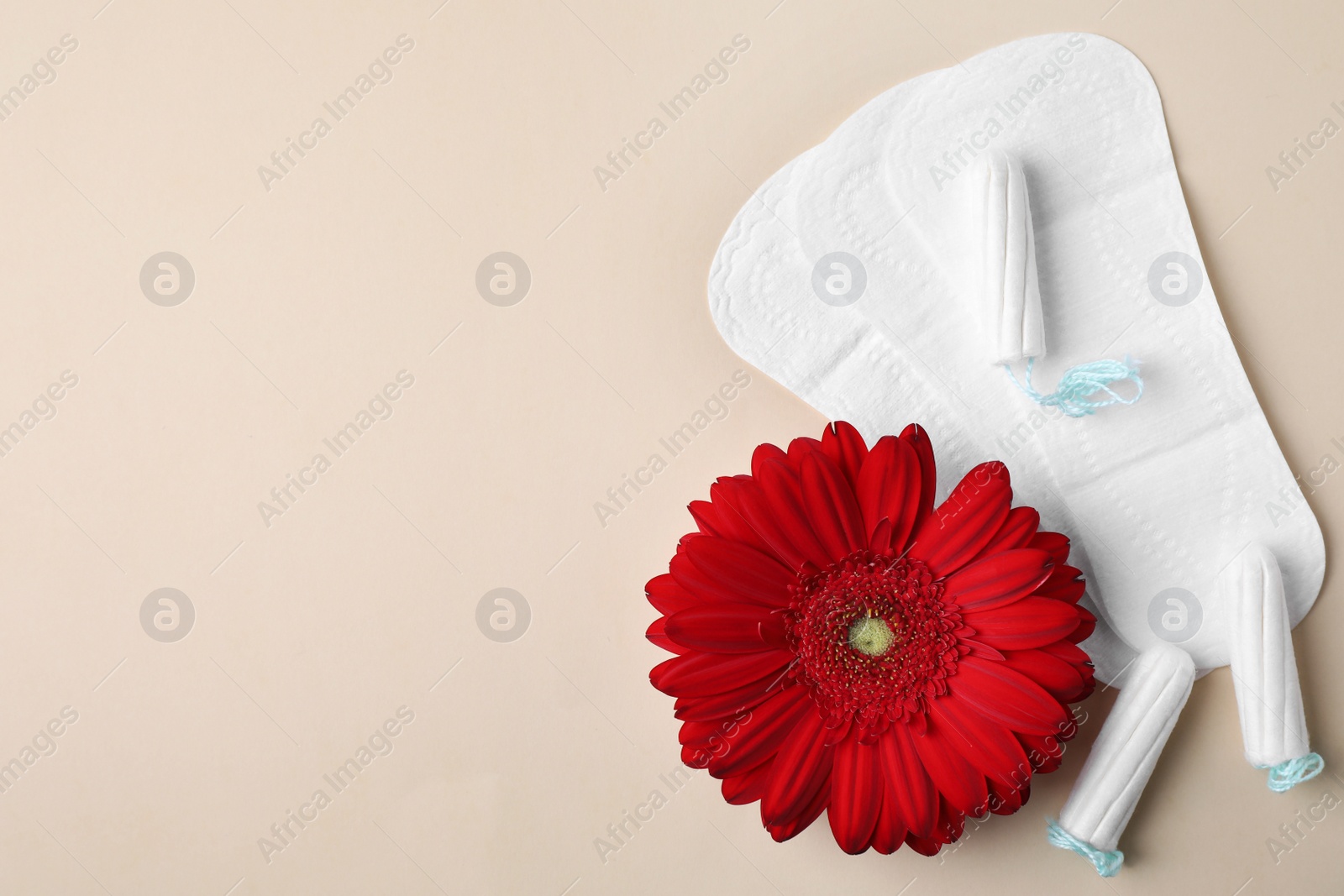 Photo of Different feminine hygiene products and flower on color background, flat lay with space for text. Gynecological care