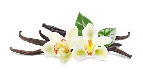 Image of Dried aromatic vanilla sticks, beautiful flowers and green leaves on white background