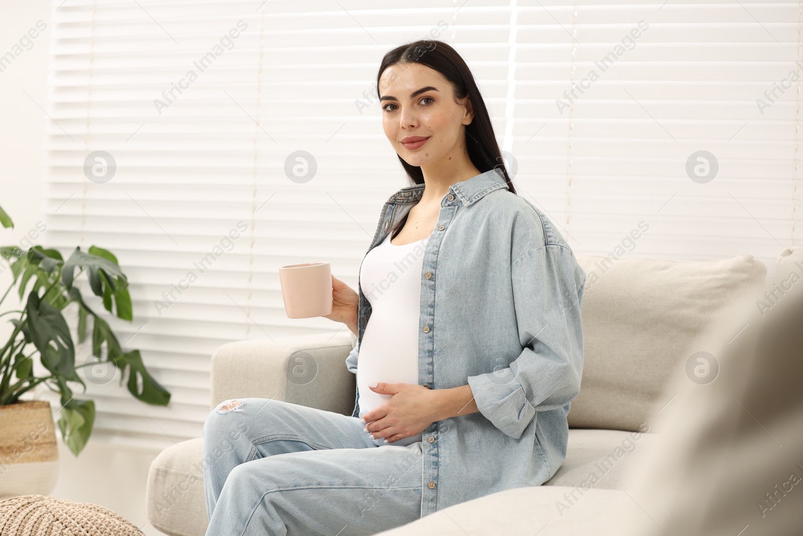 Photo of Pregnant woman with cup of drink on sofa at home