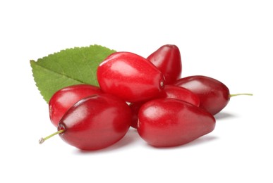 Pile of fresh ripe dogwood berries with green leaf on white background