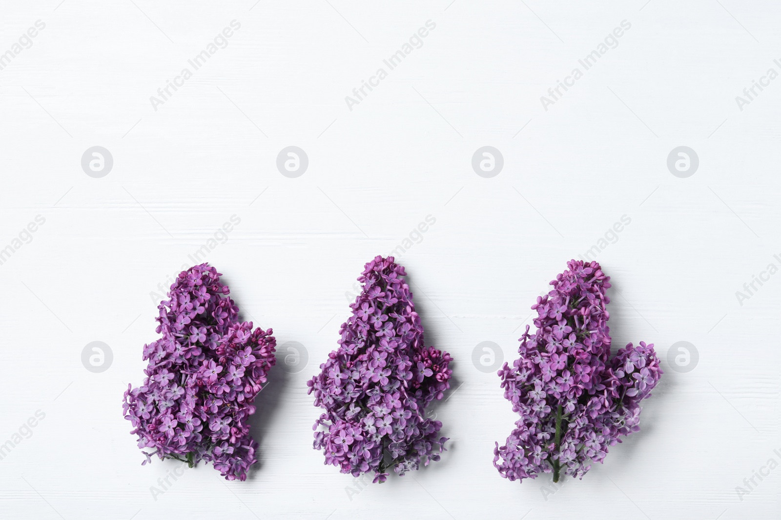 Photo of Beautiful lilac blossom on white wooden background, flat lay. Space for text