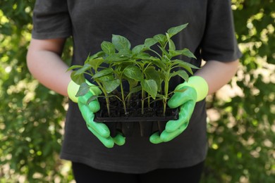Woman in gardening gloves holding plastic container with seedlings outdoors, closeup