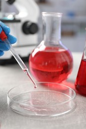 Laboratory analysis. Dripping red liquid into Petri dish on light grey table, closeup