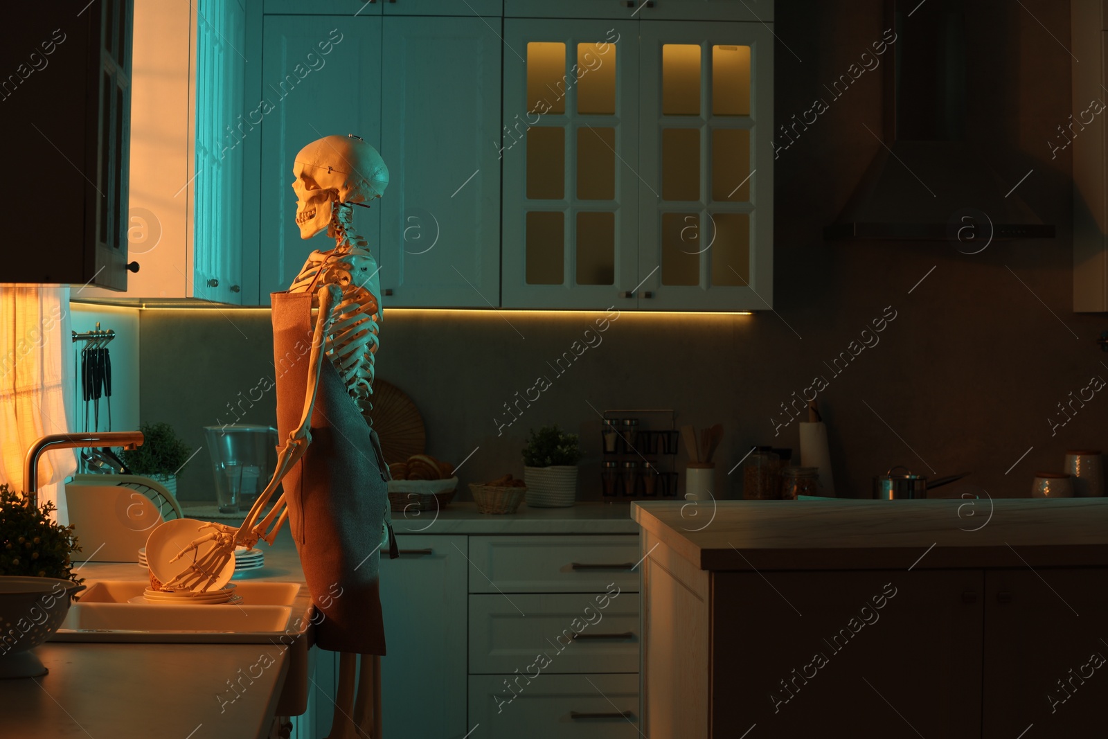 Photo of Human skeleton washing dishes in kitchen sink at night