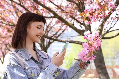 Photo of Beautiful young woman taking picture of blossoming sakura tree branch in park