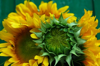 Photo of Bouquet of beautiful sunflowers on green background, closeup