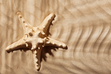 Photo of Starfish on beach sand, top view. Space for text