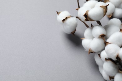 Photo of Branch with cotton flowers on light grey background, closeup. Space for text