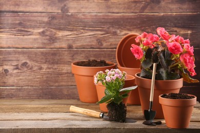 Photo of Time for transplanting. Many terracotta pots, soil, flowers and tools on wooden table. Space for text