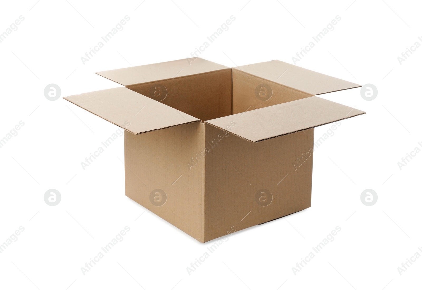 Photo of One open cardboard box on white background