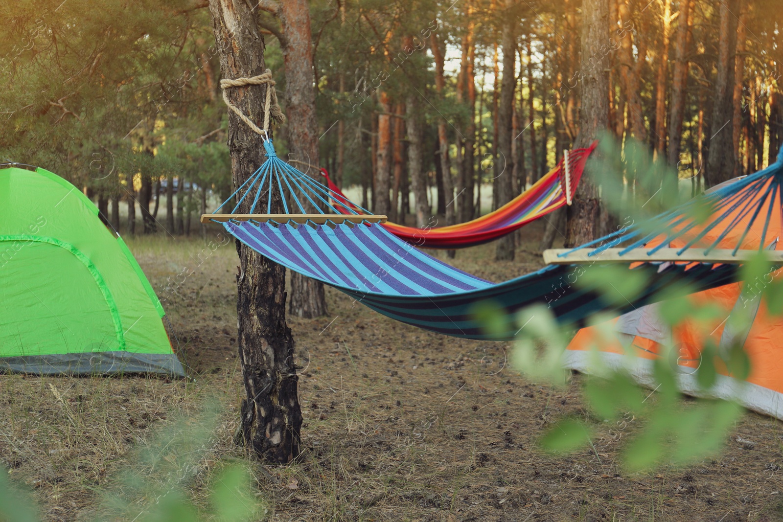 Photo of Colorful tents and empty comfortable hammocks in forest