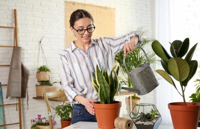 Photo of Young woman watering potted plant at home