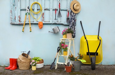 Photo of Beautiful plants, gardening tools and accessories near shed outdoors