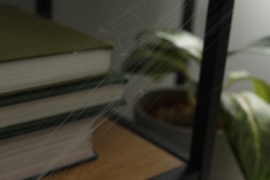 Cobweb and books on rack indoors, closeup