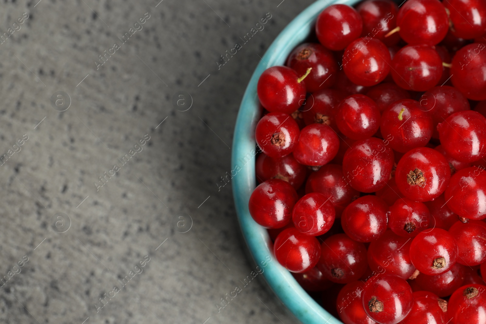 Photo of Ripe red currants in bowl on dark textured table, top view. Space for text
