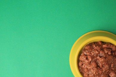 Photo of Wet pet food in feeding bowl on green background, top view. Space for text