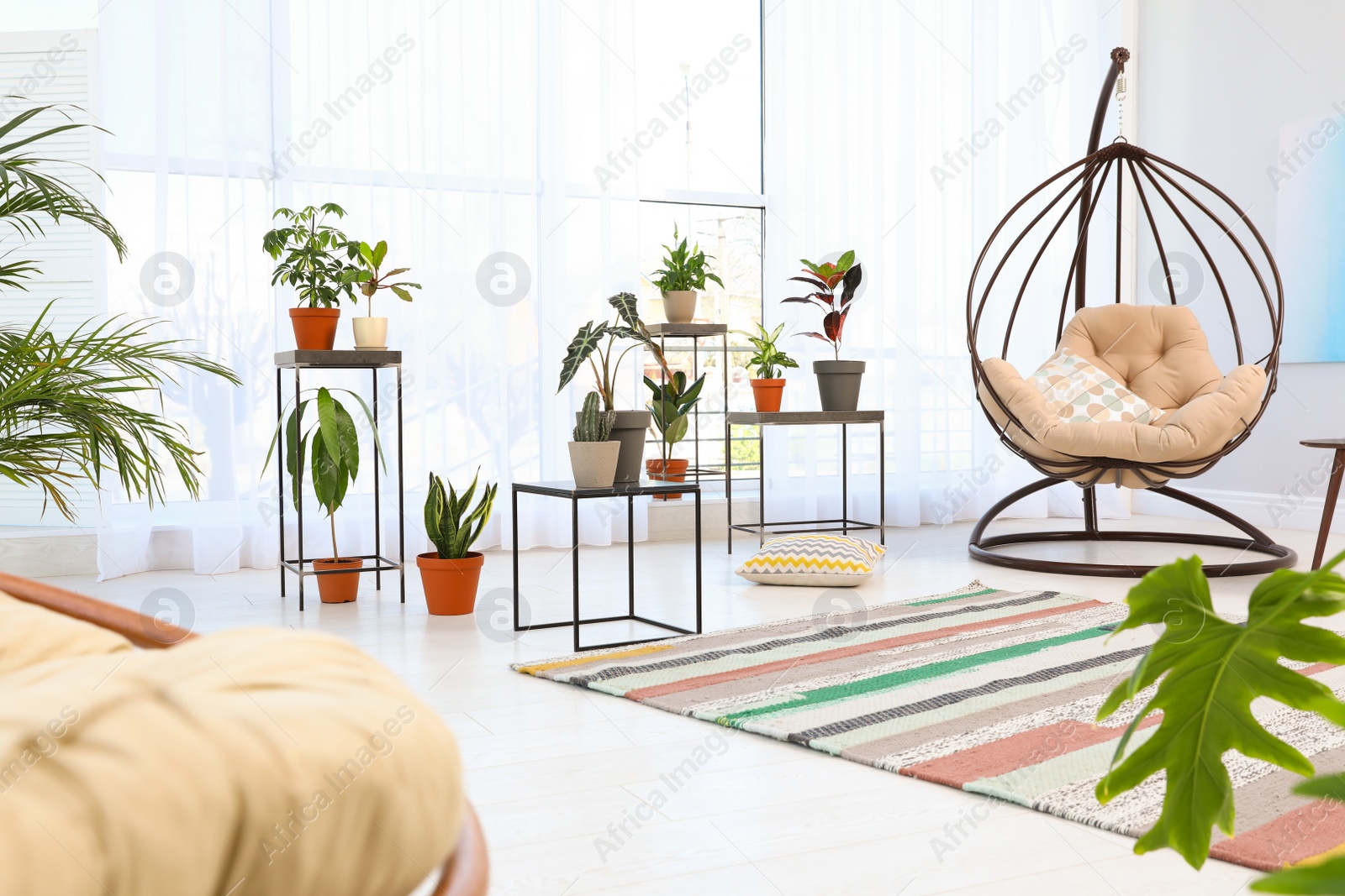Photo of Living room interior with swing chair and indoor plants. Trendy home decor