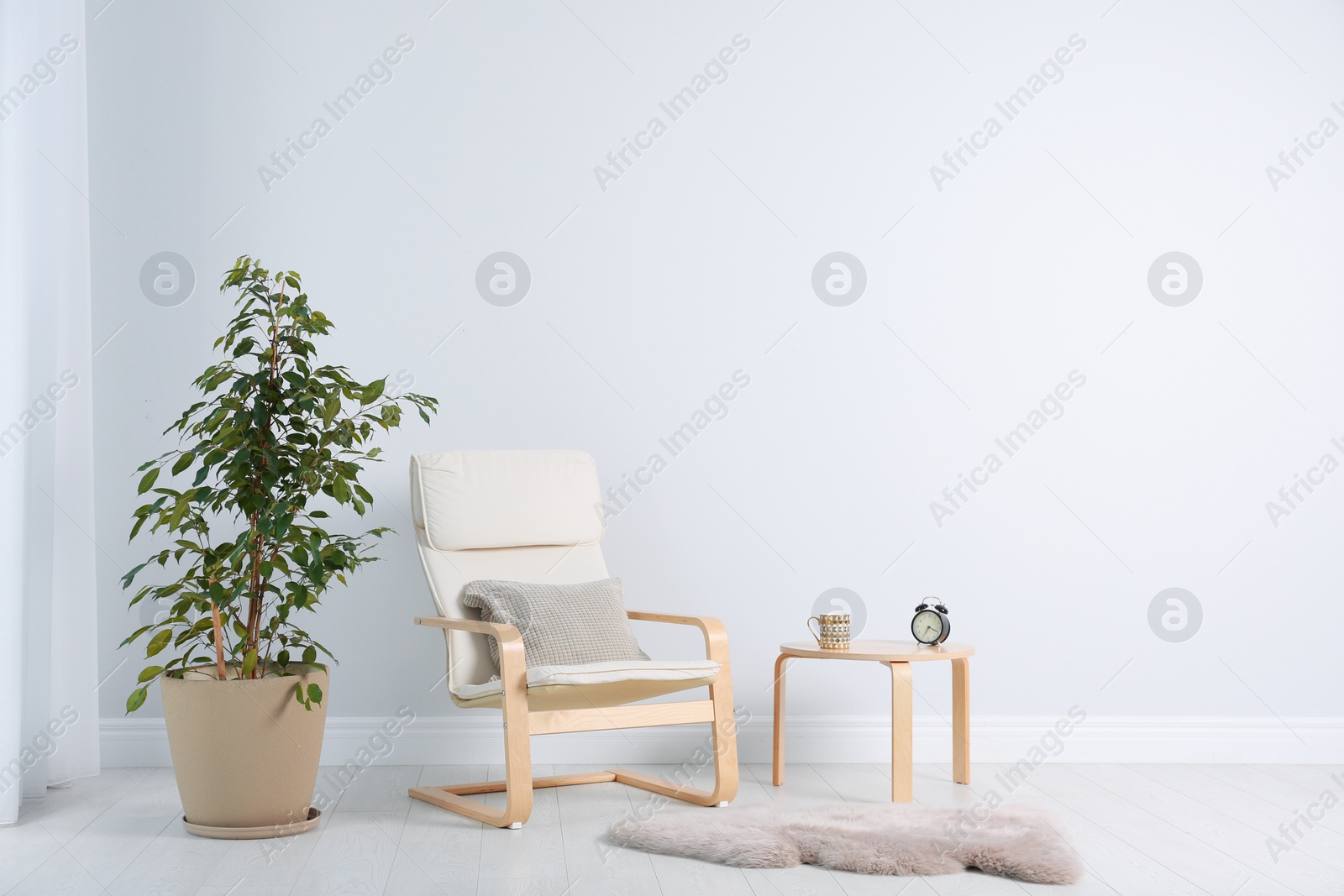 Photo of Stylish living room interior with armchair and houseplant near white wall