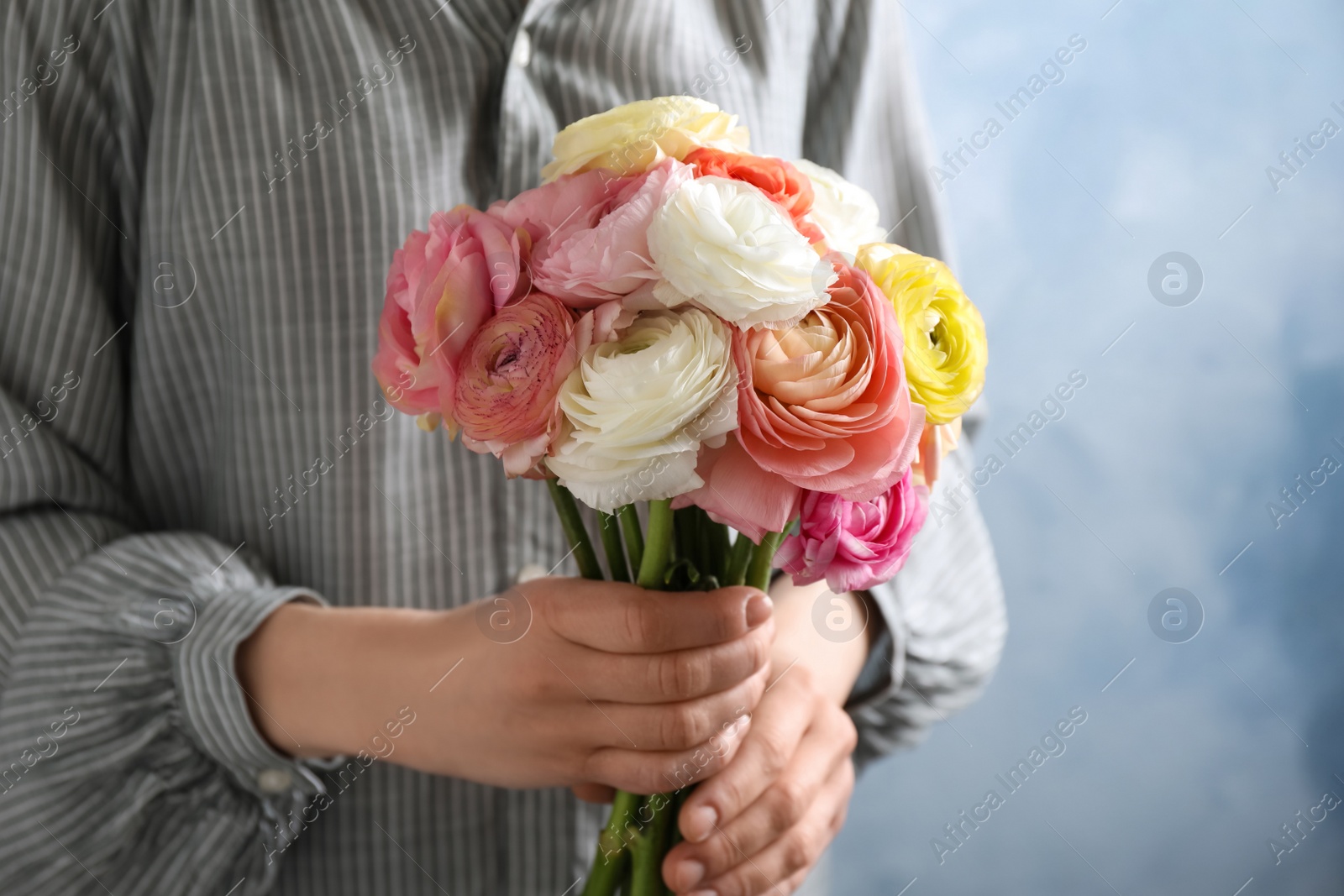 Photo of Woman holding beautiful ranunculus flowers against light blue background, closeup