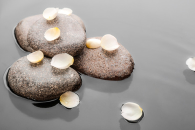Stones and flower petals in water. Zen lifestyle