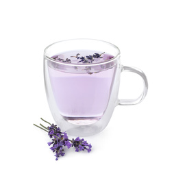 Photo of Fresh delicious drink with lavender and beautiful flowers isolated on white