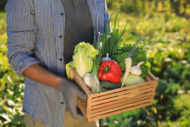 Photo of Man with crate of different fresh ripe vegetables on farm, closeup