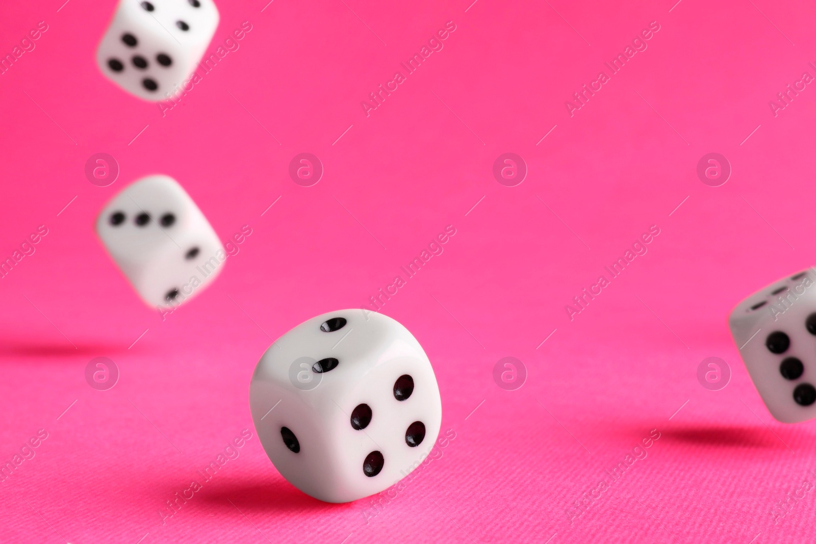 Photo of Many white game dices falling on pink background, closeup