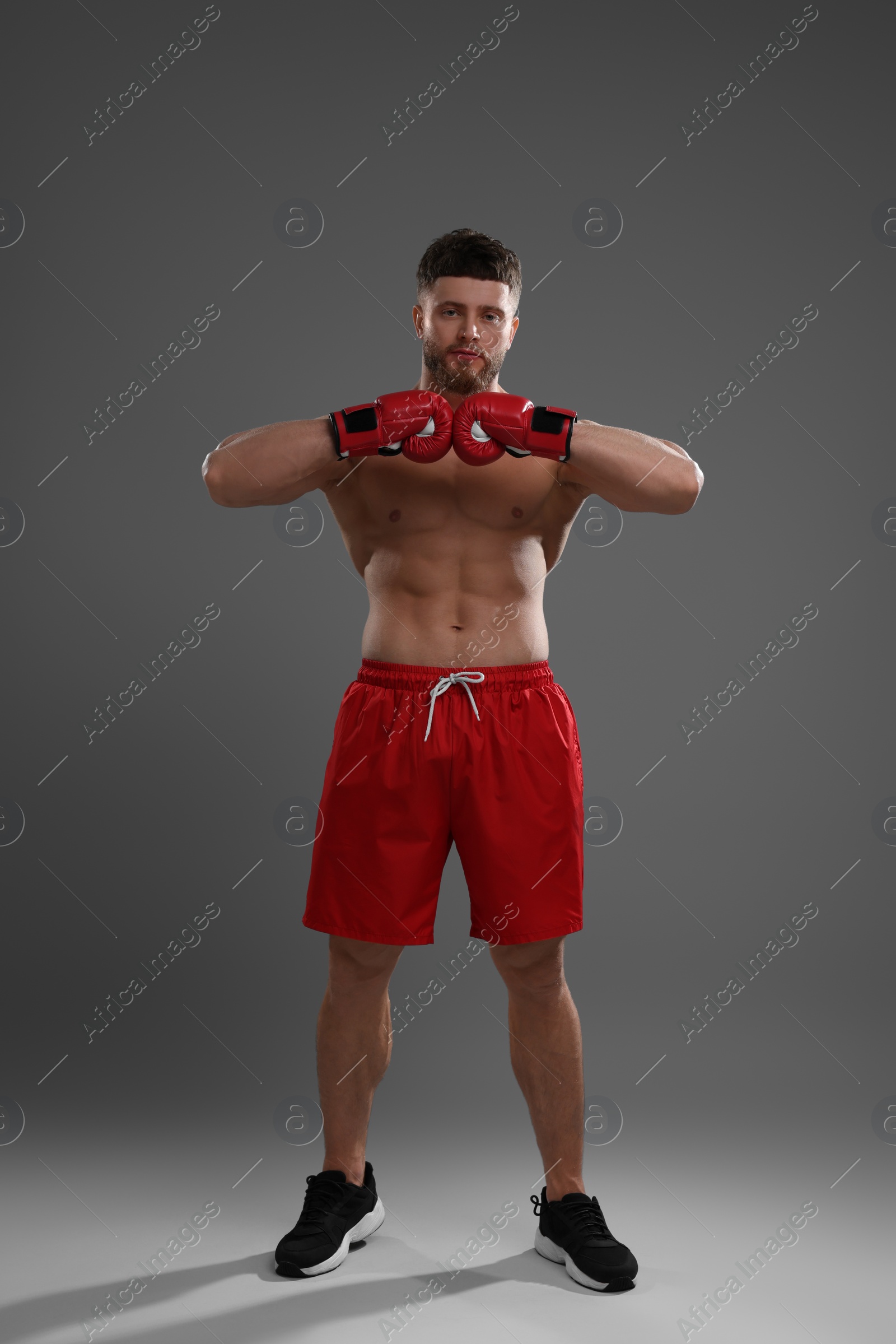 Photo of Man in boxing gloves on grey background