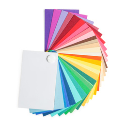 Photo of Color palette on white background, top view