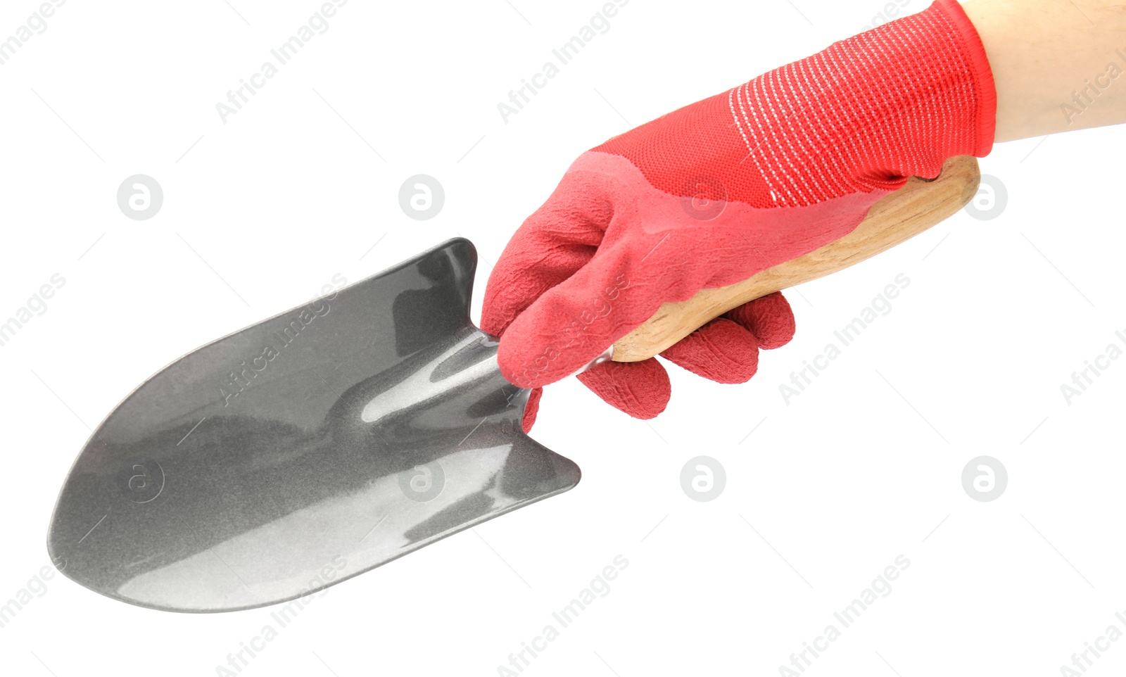 Photo of Woman in gardening glove holding trowel on white background, closeup