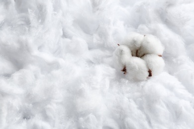 Photo of Fluffy flower and space for text on cotton, view from above