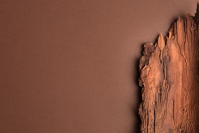 Photo of Tree bark piece on brown background, top view. Space for text